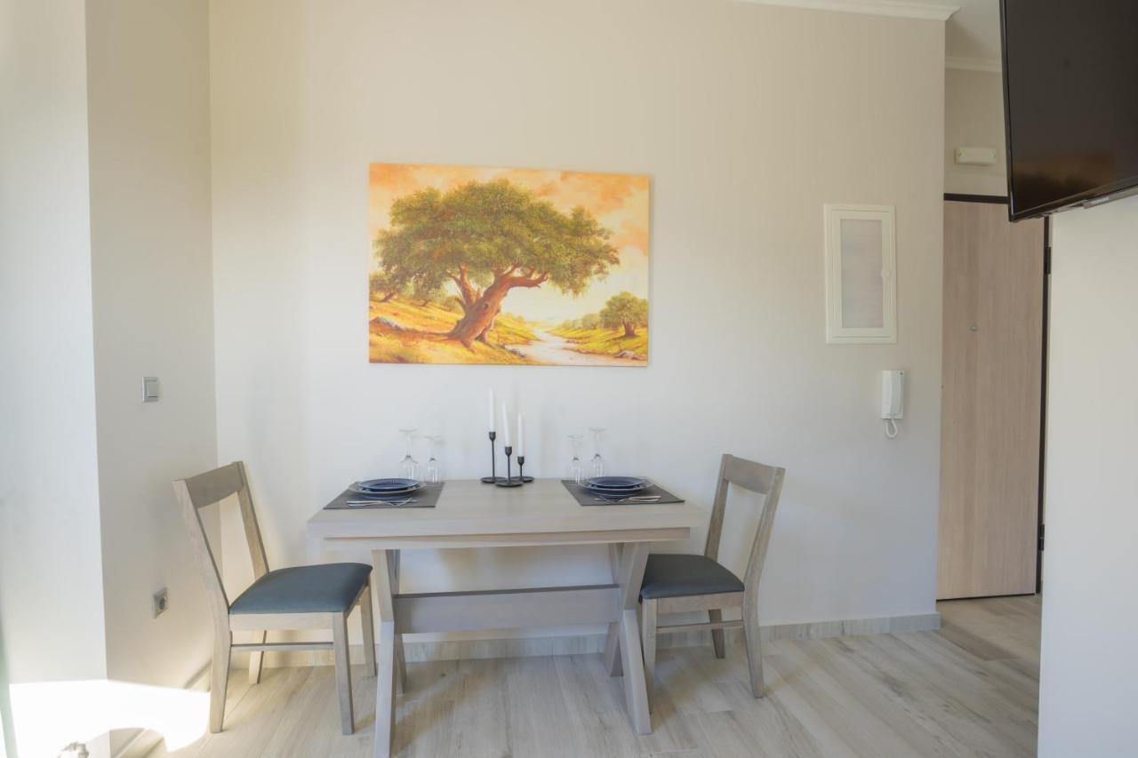 Apollonian Luxury Apartments ヴァシリキ エクステリア 写真